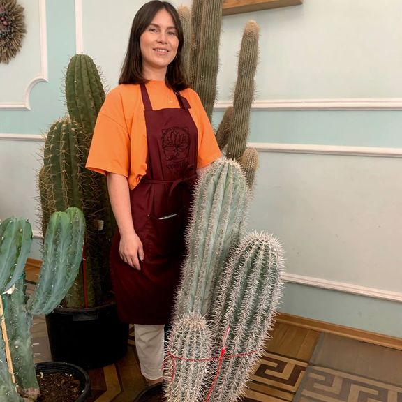 Кактус Пахицереус принглей (Pachycereus pringlei) или (Слоновий кактус) 100см * Этот кактус растет в парке «Абрау-Дюрсо»