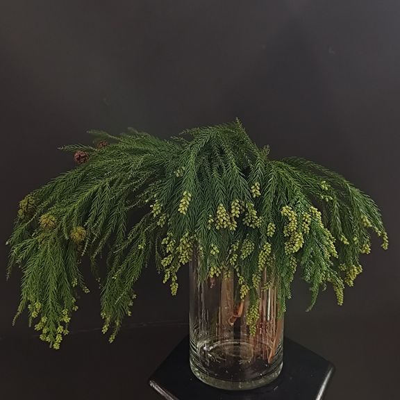 Ветка Мережки 40-60см (поштучно)