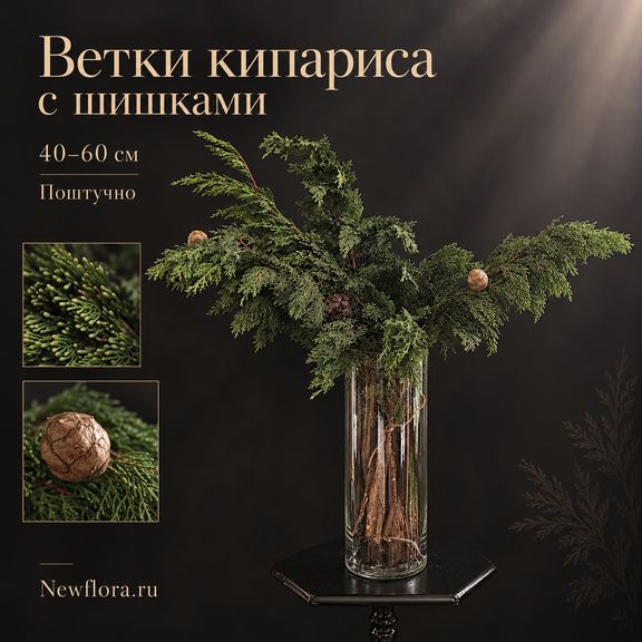 Ветки кипариса с шишками 40-60 см (поштучно)