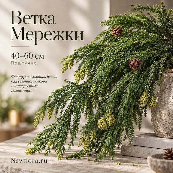 Ветка Мережки 40-60 см (поштучно)