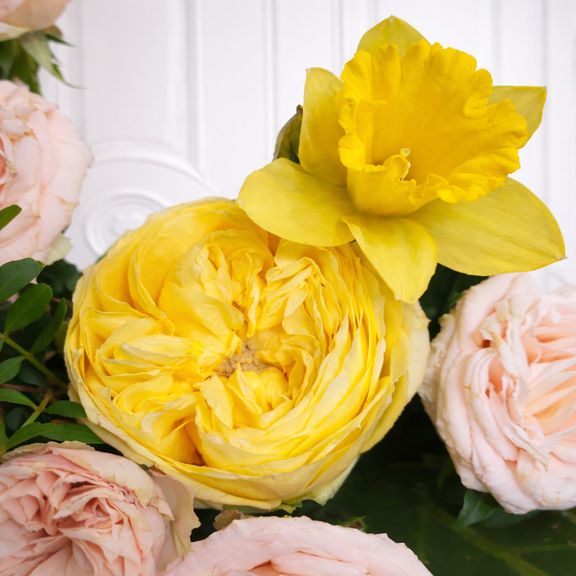 Букет пионовидных роз с нарциссами и филодендроном