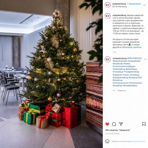 Пихта Фразера живая 280-300 см (для SO/ St. Petersburg)