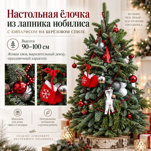 Настольная ёлочка из лапника нобилиса с кипарисом на берёзовом спиле (90–100 см)