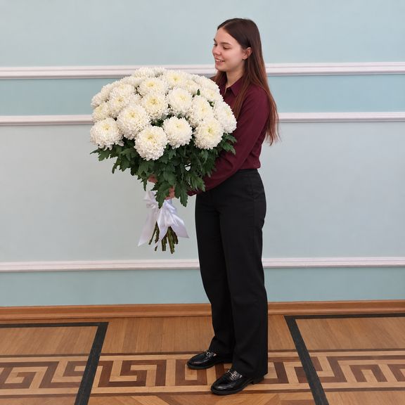 Букет 25 махровых крупных белых хризантем «Fred Shoesmith»