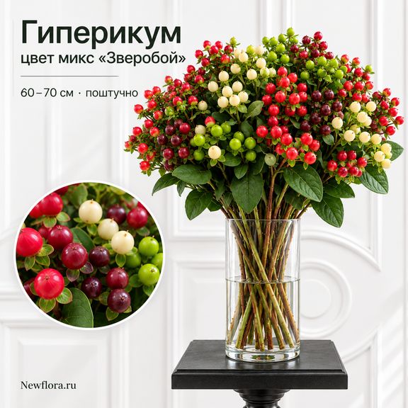 Гиперикум цвет микс «Зверобой» 60-70 см (поштучно)