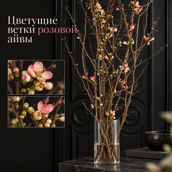 Ветки айвы розовой 100-130 см (поштучно)