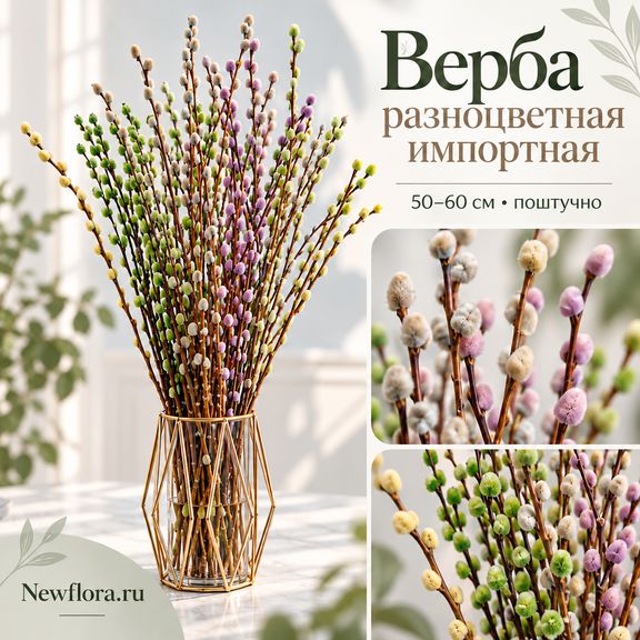 Верба разноцветная импортная 50-60 см (поштучно)