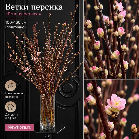 Ветки персика «Prunus persica» 100-130 см (поштучно)