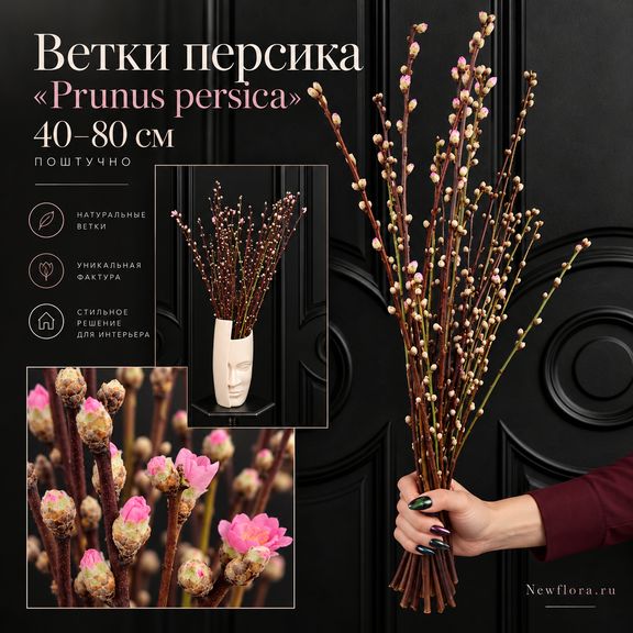 Ветки персика «Prunus persica» 40-80 см (поштучно)