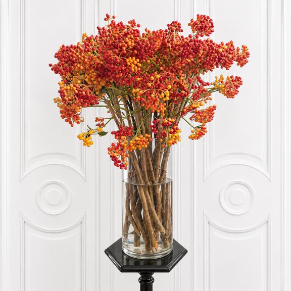 Вибурнум калина «Compactum Red» 50-70 см (поштучно)