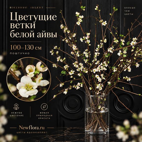 Ветки айвы белой 100-130 см (поштучно)