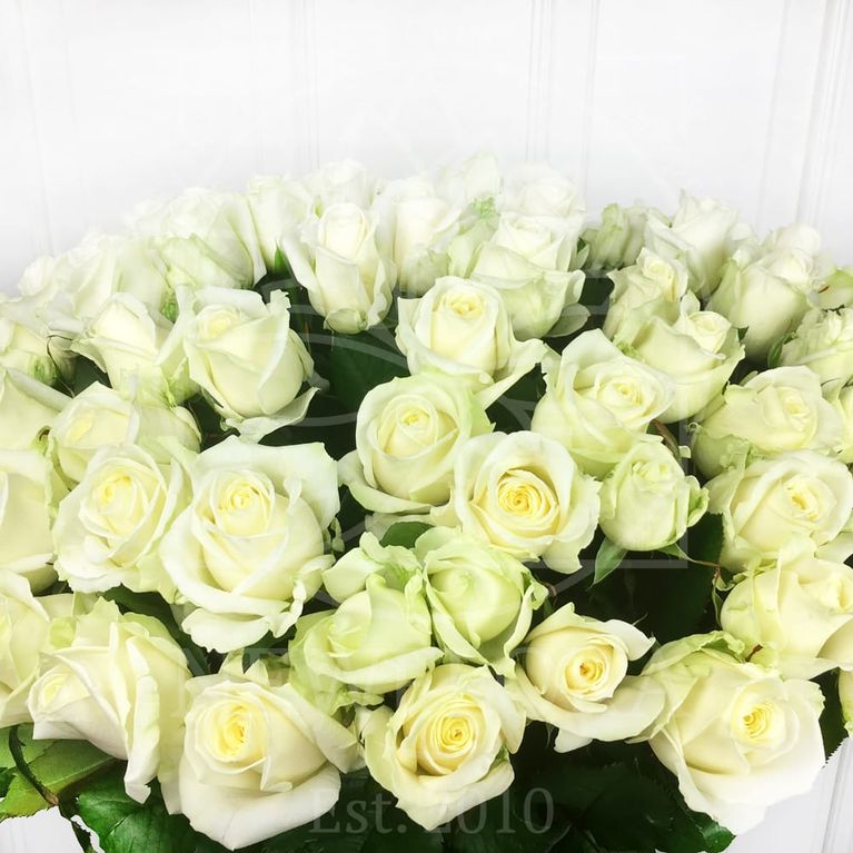 Букет 101 белая роза 60см (РФ)