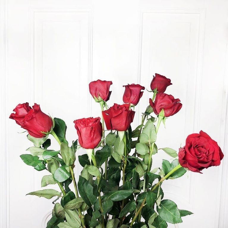 Букет 9 красных роз высотой 110см
