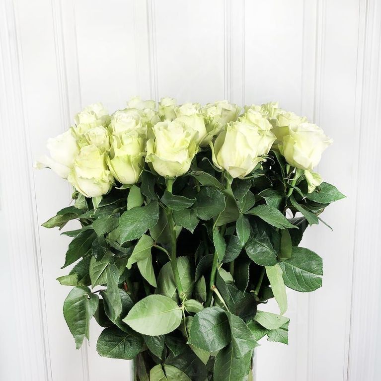 Букет 25 белых роз высотой 100см