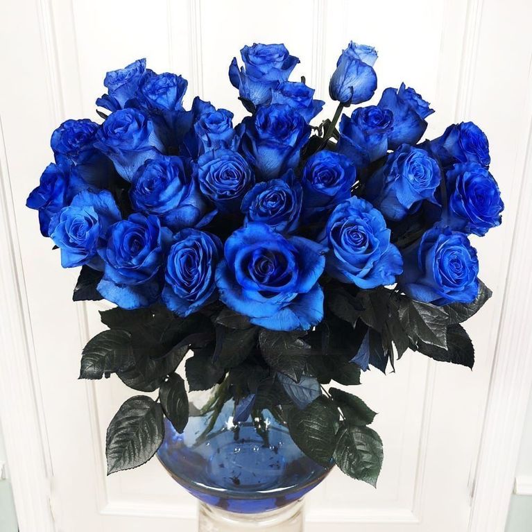 Букет 25 синих роз (Premium)