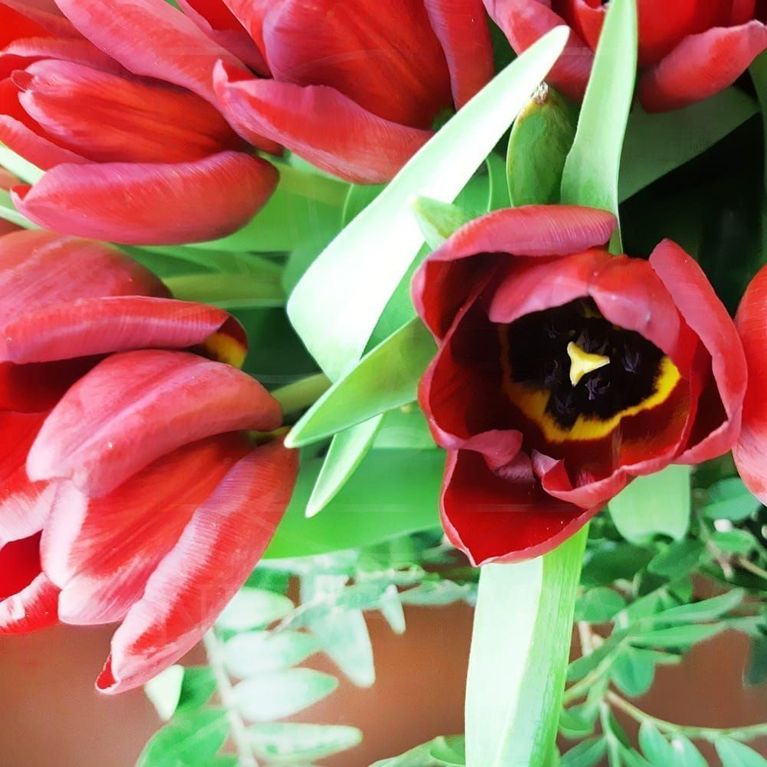 Огромная корзина цветов сердце 301 тюльпан 80×80см