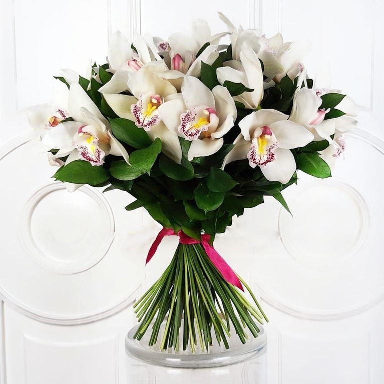Букет 35 белых орхидей с зеленью