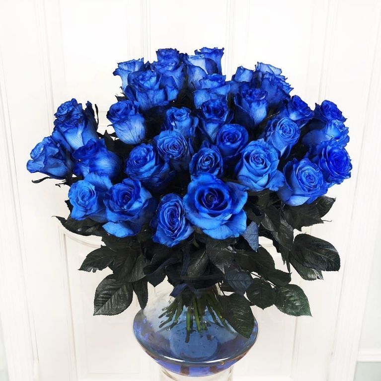 Букет 35 синих роз (Premium)