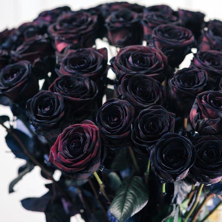 Букет 39 черных роз