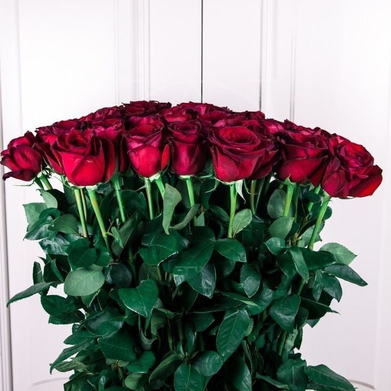 Букет 51 красная роза высотой 140см