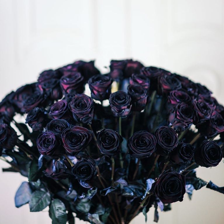 Букет 51 черная роза