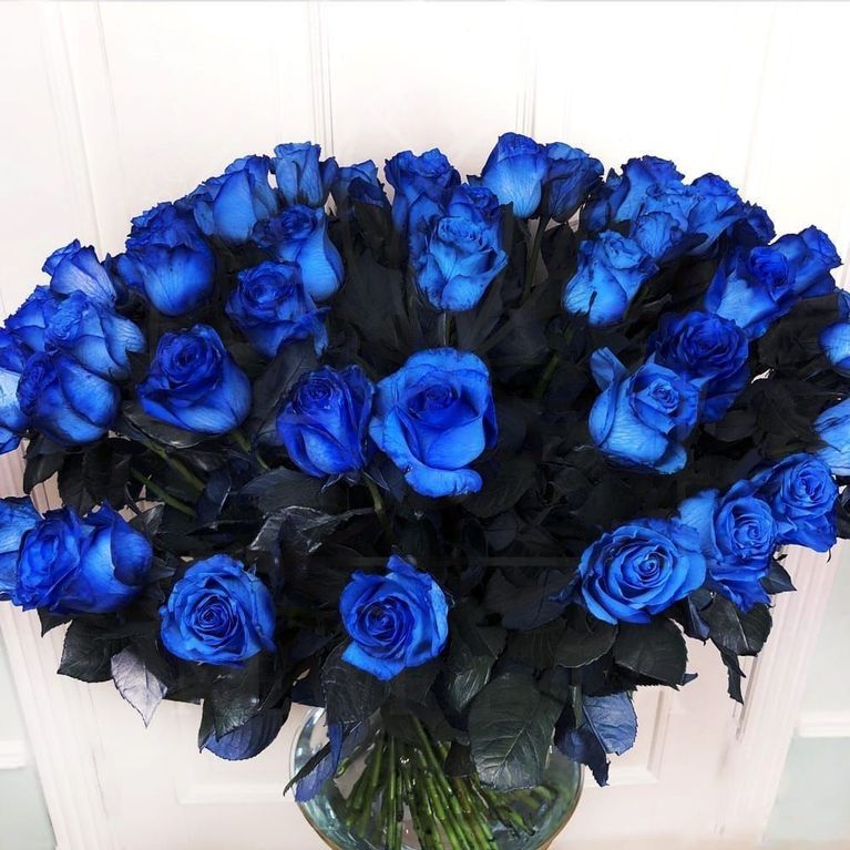 Букет 75 синих роз Premium (цвет года 2020 по версии Pantone)
