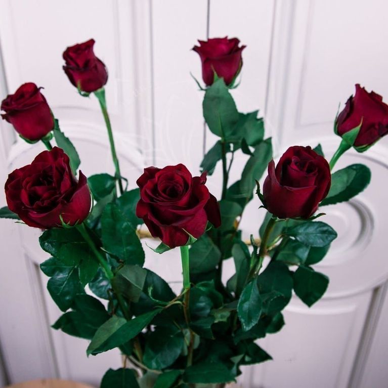 Букет 7 красных роз высотой 100см
