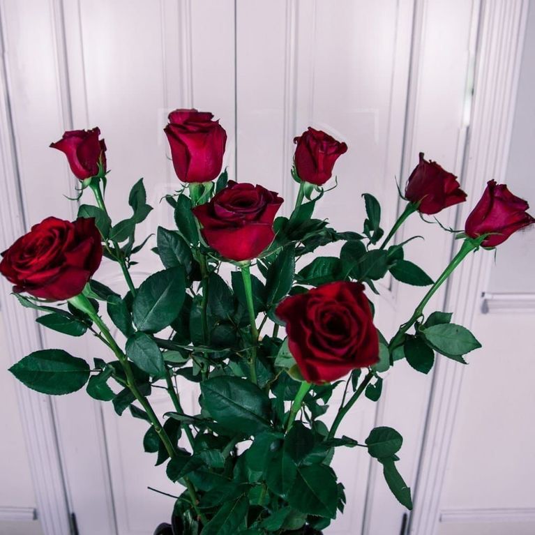 Букет 9 красных роз высотой 130см