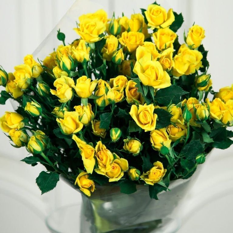 Букет 9 желтых кустовых роз (60-70см)