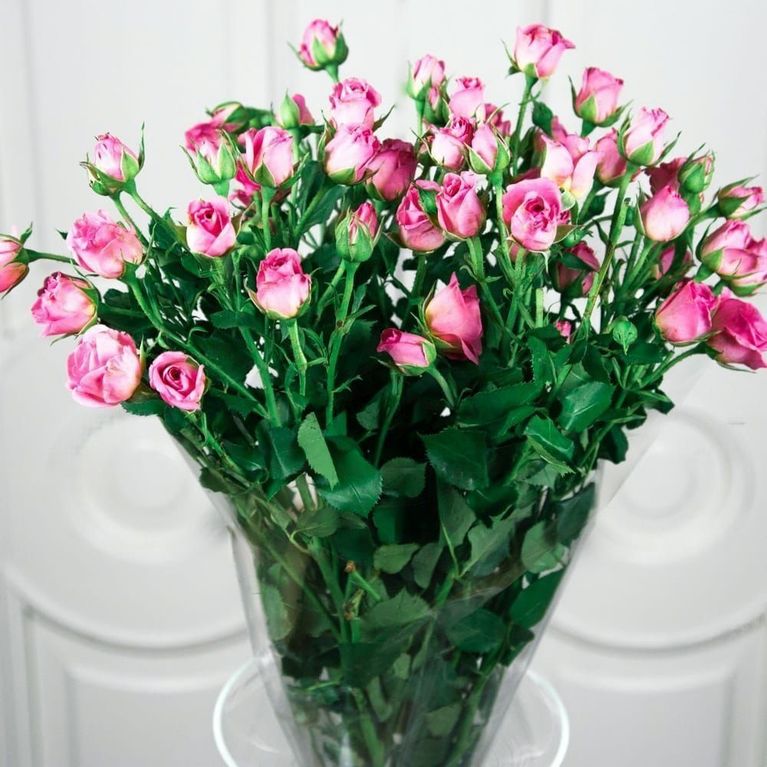 Букет 9 розовых кустовых роз (60-70см)