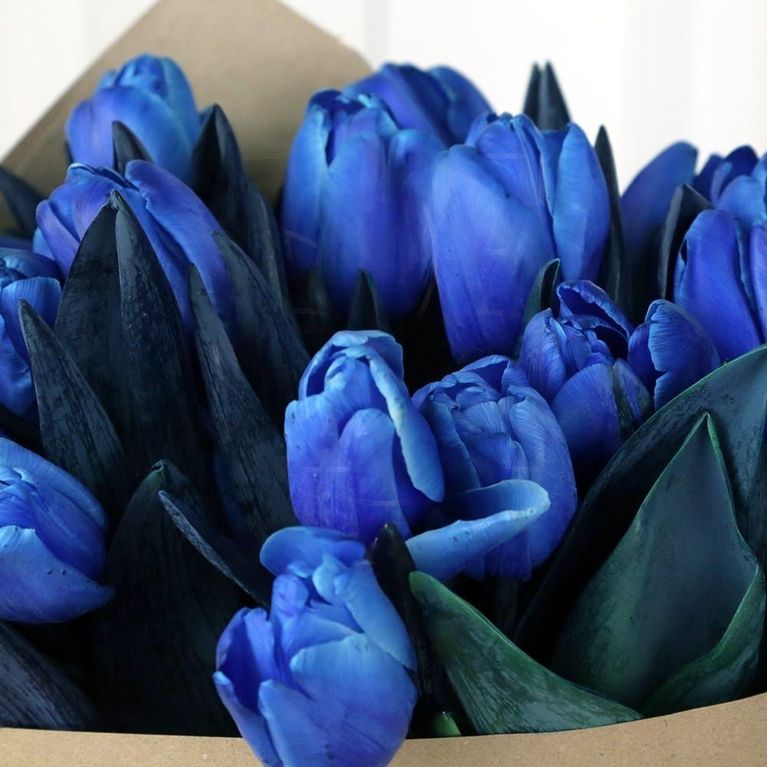 Букет 25 синих тюльпанов в крафт-бумаге