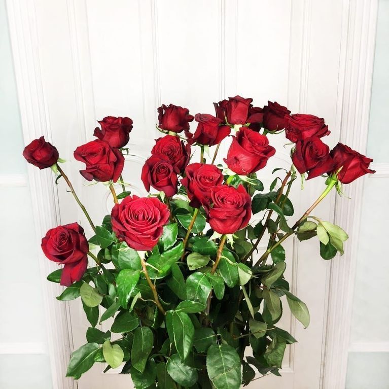 Букет 19 красных роз высотой 160см