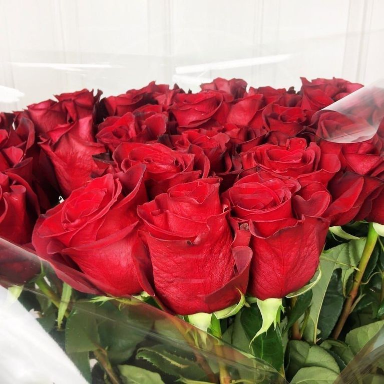 Букет 35 красных роз высотой 150см