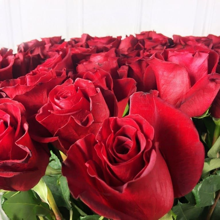 Букет 51 красная роза высотой 150см