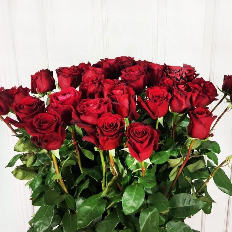 Букет 51 красная роза высотой 160см