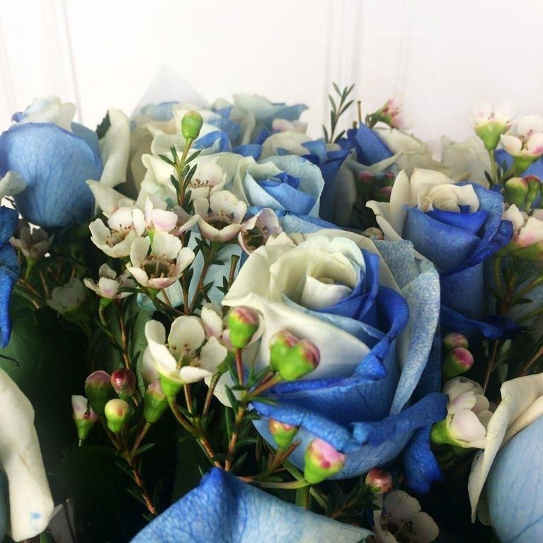 Букет 19 бело голубых роз с зеленью