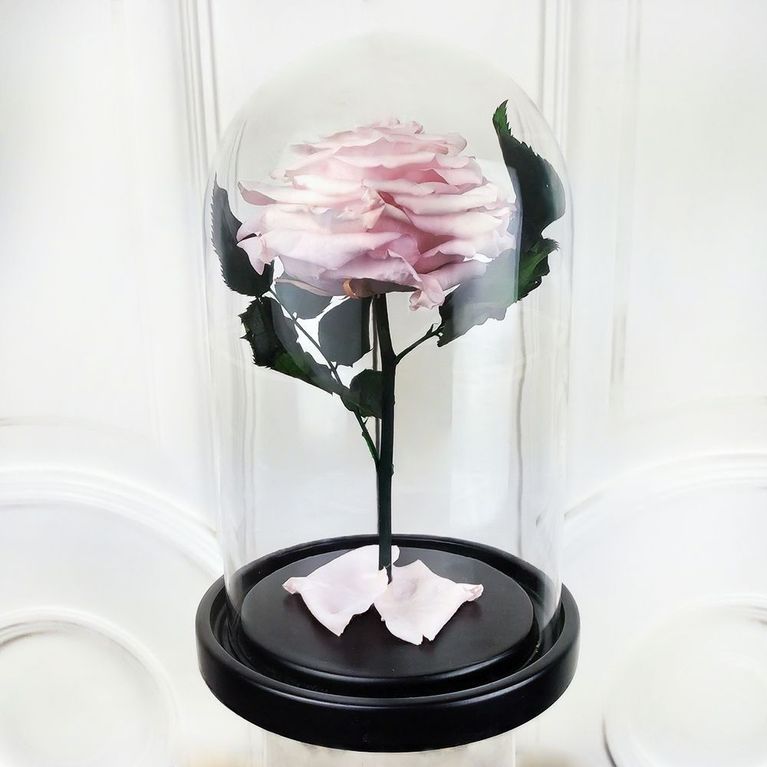 Роза розовая в колбе с ароматом (Premium)