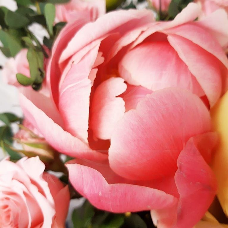 Букет 9 желтых и розовых пионов с кустовыми розами и альстромерией
