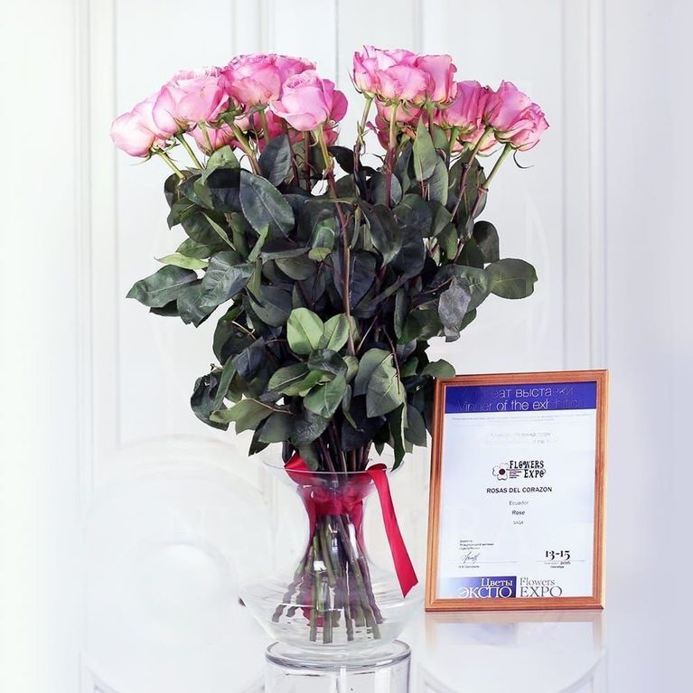 Букет 25 розовых роз Saga (Premium)