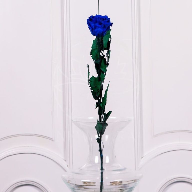 Стабилизированная синяя роза