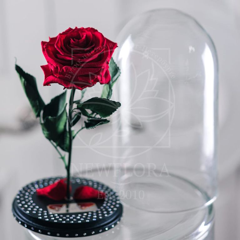 Розы в колбе со стразами «SWAROVSKI» (цвет на выбор)