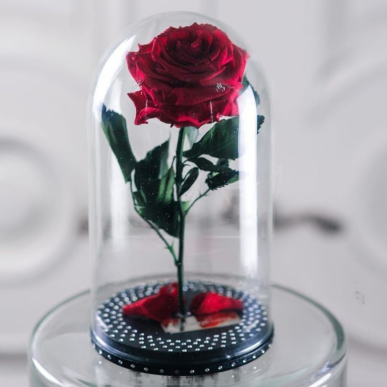 Розы в колбе со стразами «SWAROVSKI» (цвет на выбор)
