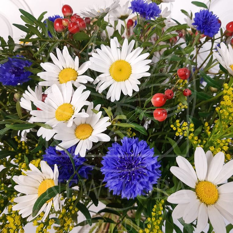 Букет полевых цветов 29 ромашек с васильками и гиперикум купить с доставкойв СПб
