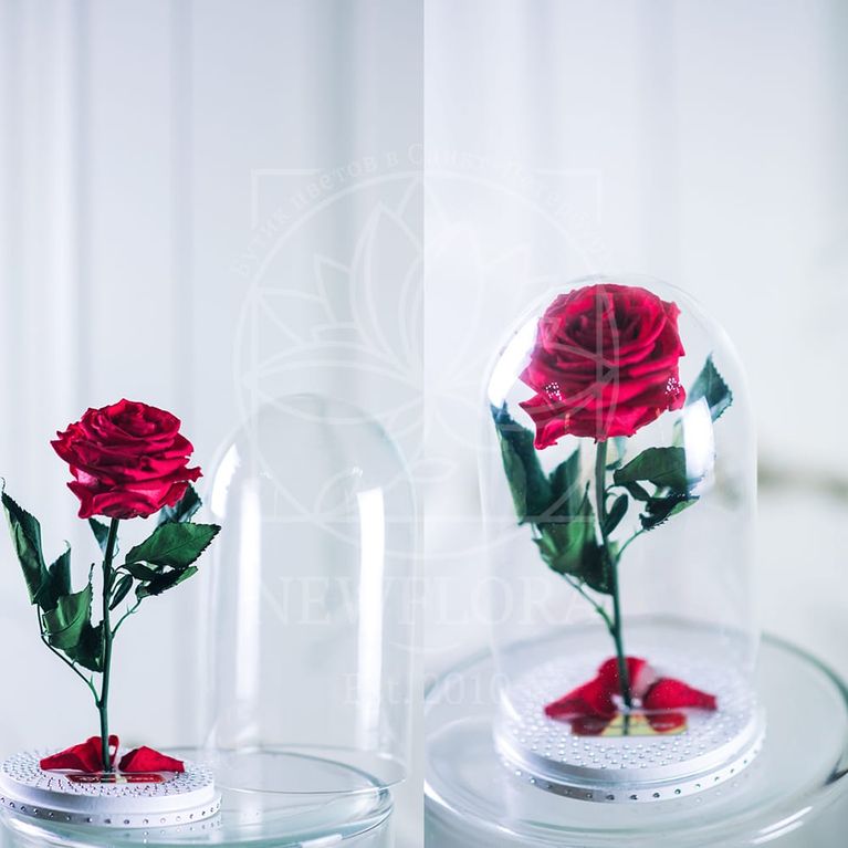 Розы в колбе со стразами «SWAROVSKI» (цвет на выбор)