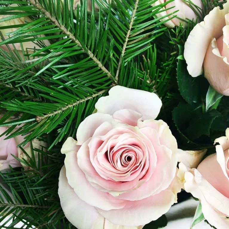 Букет 21 бело-розовая роза с лапником пихты