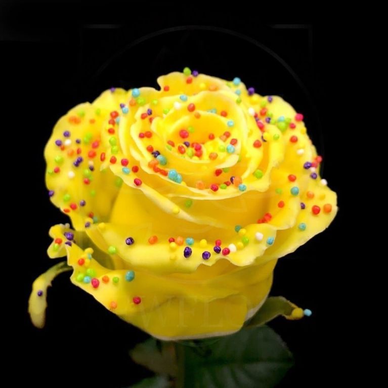 Роза натуральная восковая десерт #5