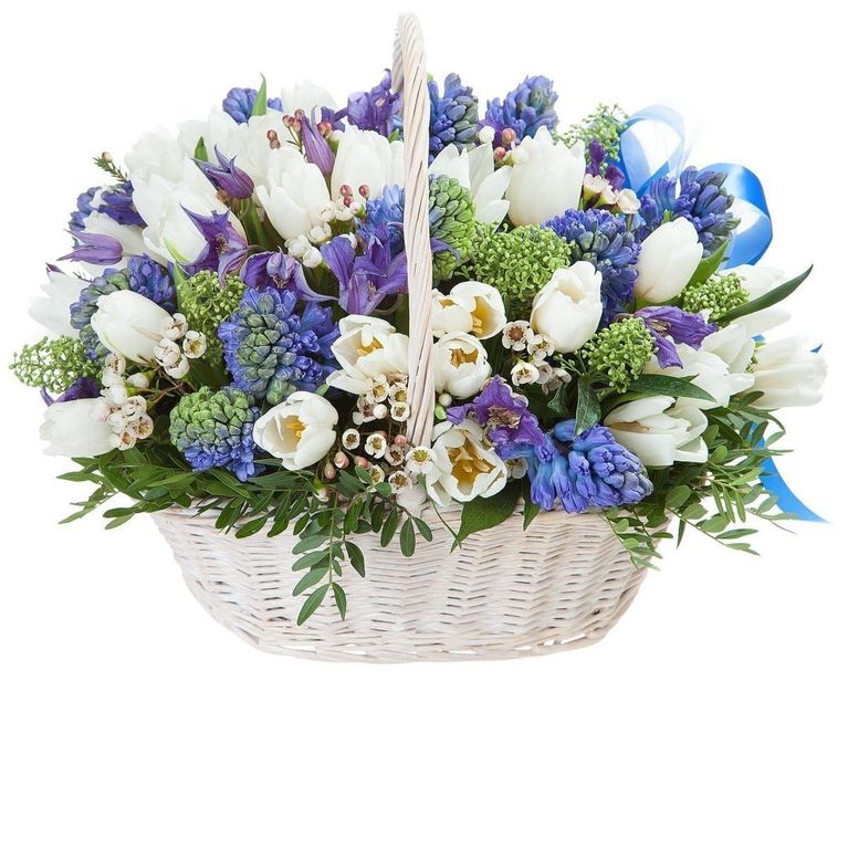 Корзина цветов с тюльпанами, гиацинтами, клематис и зеленая скиммия