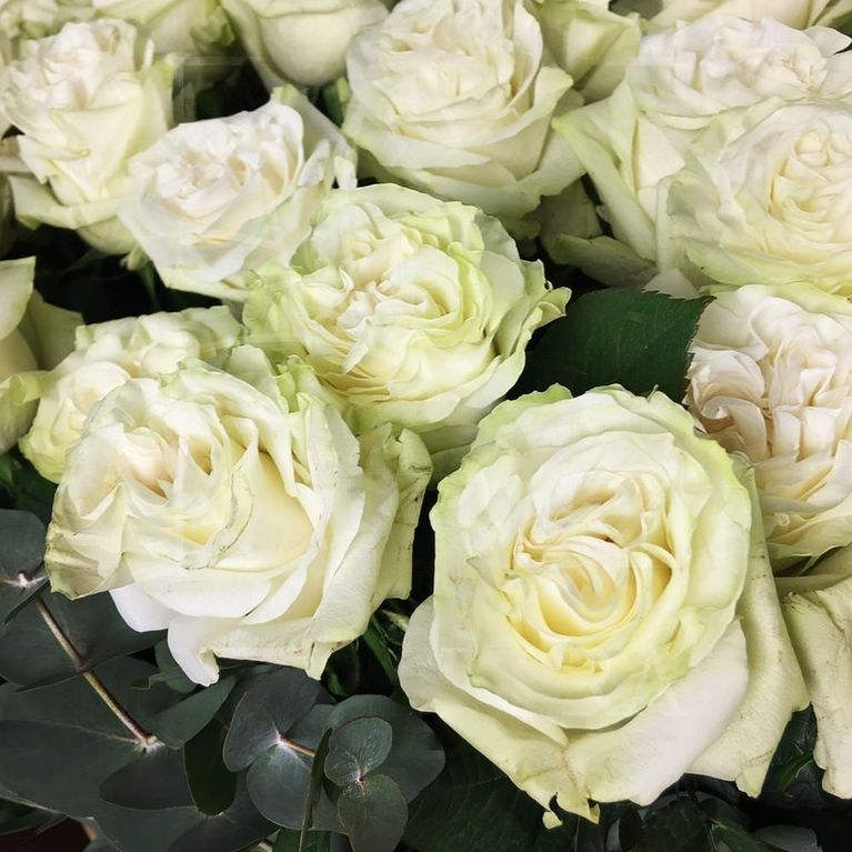Большая корзина цветов сердце 101 белая роза (Premium) с эвкалиптом 80×100см
