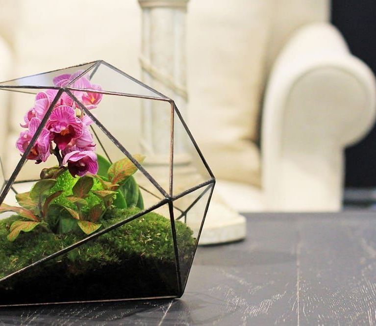 Треугольный флорариум с орхидеей, папоротником и мхом