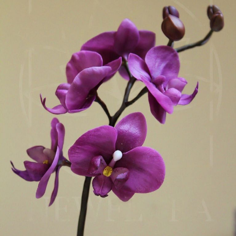 Орхидея керамическая из полимерной глины (колокольчик)
